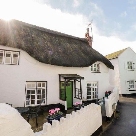 Teign Cottage Teignmouth Kültér fotó